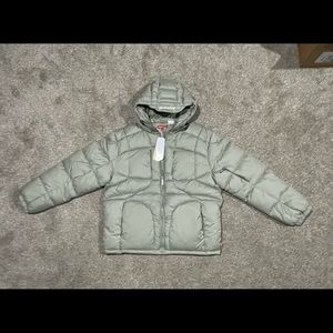 Supreme FW21 Warp Hooded Puffer Jacket “Sage Green”